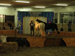 IMG_5055_web